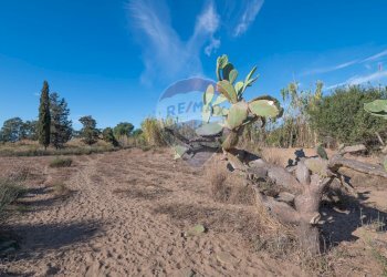 Vista delle montagne - Agricultural land Viale Presidente Kennedy
 
77, Catania - photo 19