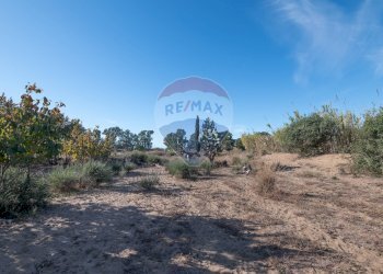Non correlato - Agricultural land Viale Presidente Kennedy
 
77, Catania - photo 20