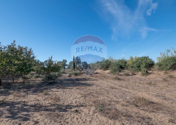 Non correlato - Agricultural land Viale Presidente Kennedy
 
77, Catania - photo 22