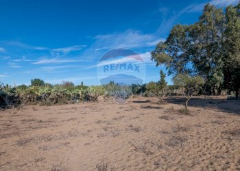 Vista delle montagne - Agricultural land Viale Presidente Kennedy
 
77, Catania - photo 23