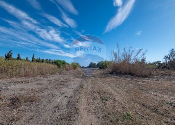 Vista delle montagne - Agricultural land Viale Presidente Kennedy
 
77, Catania - photo 26