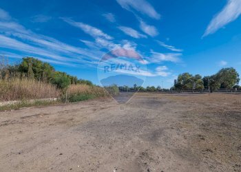 Vista delle montagne - Agricultural land Viale Presidente Kennedy
 
77, Catania - photo 28
