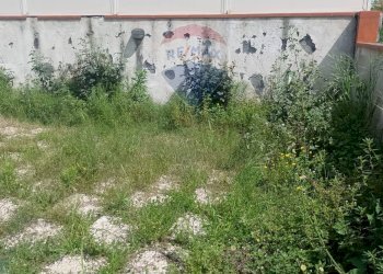 Giardino - Villa traversa contrada auzanetto
 
12, Mascali - foto 13