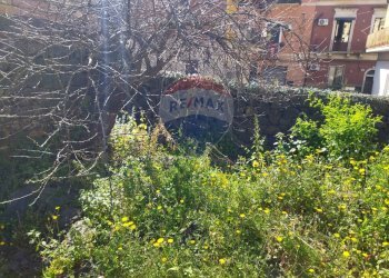 Giardino - Casa indipendente Via Circumvallazione
 
386/388, Paterno - foto 3