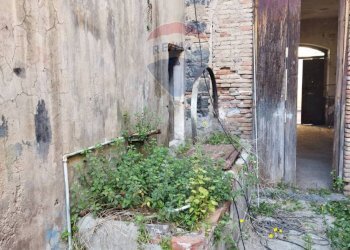 Giardino - Casa indipendente Via Circumvallazione
 
386/388, Paterno - foto 8