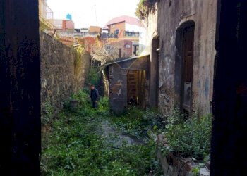 Giardino - Casa indipendente Via Circumvallazione
 
386/388, Paterno - foto 9