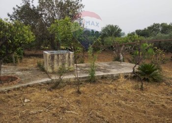 Giardino - Villa contrada san cataldo, Caltagirone - foto 17