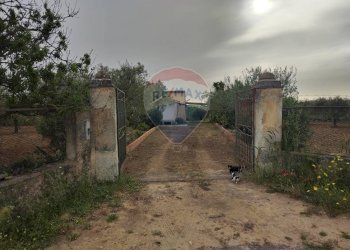 Giardino - Villa contrada san cataldo, Caltagirone - foto 22