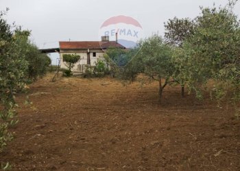 Giardino - Villa contrada san cataldo, Caltagirone - foto 23