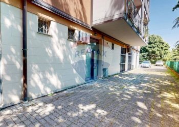 Terrazza - Negozio via gran paradiso
 
9, Segrate - foto 17