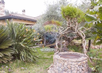 Giardino - Villa via Ettore Rosso
5, Roma - foto 7