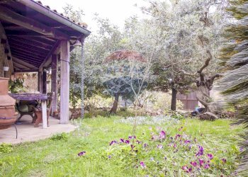 Giardino - Villa via Ettore Rosso
5, Roma - foto 14