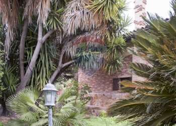 Giardino - Villa via Ettore Rosso
5, Roma - foto 16