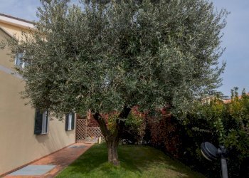 Giardino - Villa via valcastagno
 
6, Numana - photo 22