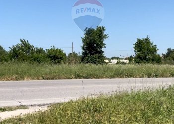 Giardino - Agricultural land Strada Provinciale, Jesi - photo 9