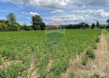 Giardino - Agricultural land Strada Provinciale, Jesi - photo 16