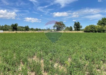 Giardino - Agricultural land Strada Provinciale, Jesi - photo 31