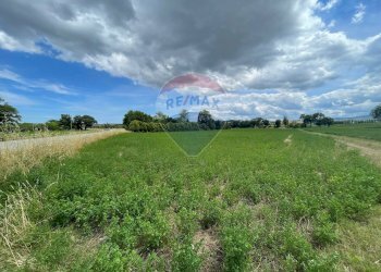 Giardino - Agricultural land Strada Provinciale, Jesi - photo 39