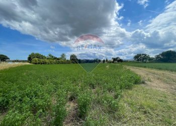 Giardino - Agricultural land Strada Provinciale, Jesi - photo 48