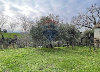 Giardino - Independent house Carpineto
 
17, Filottrano - photo 7