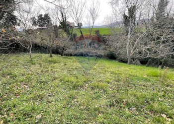 Giardino - Independent house Carpineto
 
17, Filottrano - photo 9