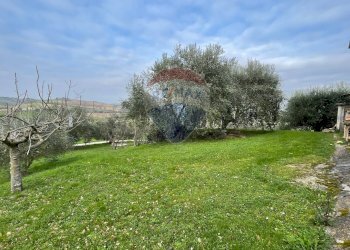 Giardino - Independent house Carpineto
 
17, Filottrano - photo 10