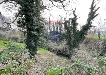 Giardino - Independent house Carpineto
 
17, Filottrano - photo 12