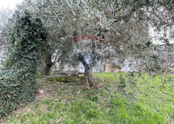 Giardino - Independent house Carpineto
 
17, Filottrano - photo 13