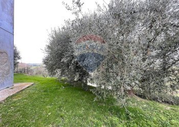 Giardino - Independent house Carpineto
 
17, Filottrano - photo 14