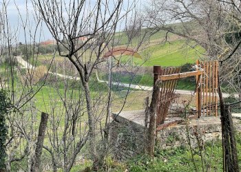 Giardino - Independent house Carpineto
 
17, Filottrano - photo 15