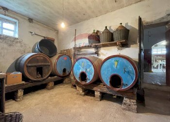 Cantina - Independent house Carpineto
 
17, Filottrano - photo 22