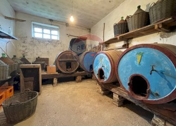 Cantina - Independent house Carpineto
 
17, Filottrano - photo 23