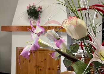 Dettagli - Independent house Carpineto
 
17, Filottrano - photo 42