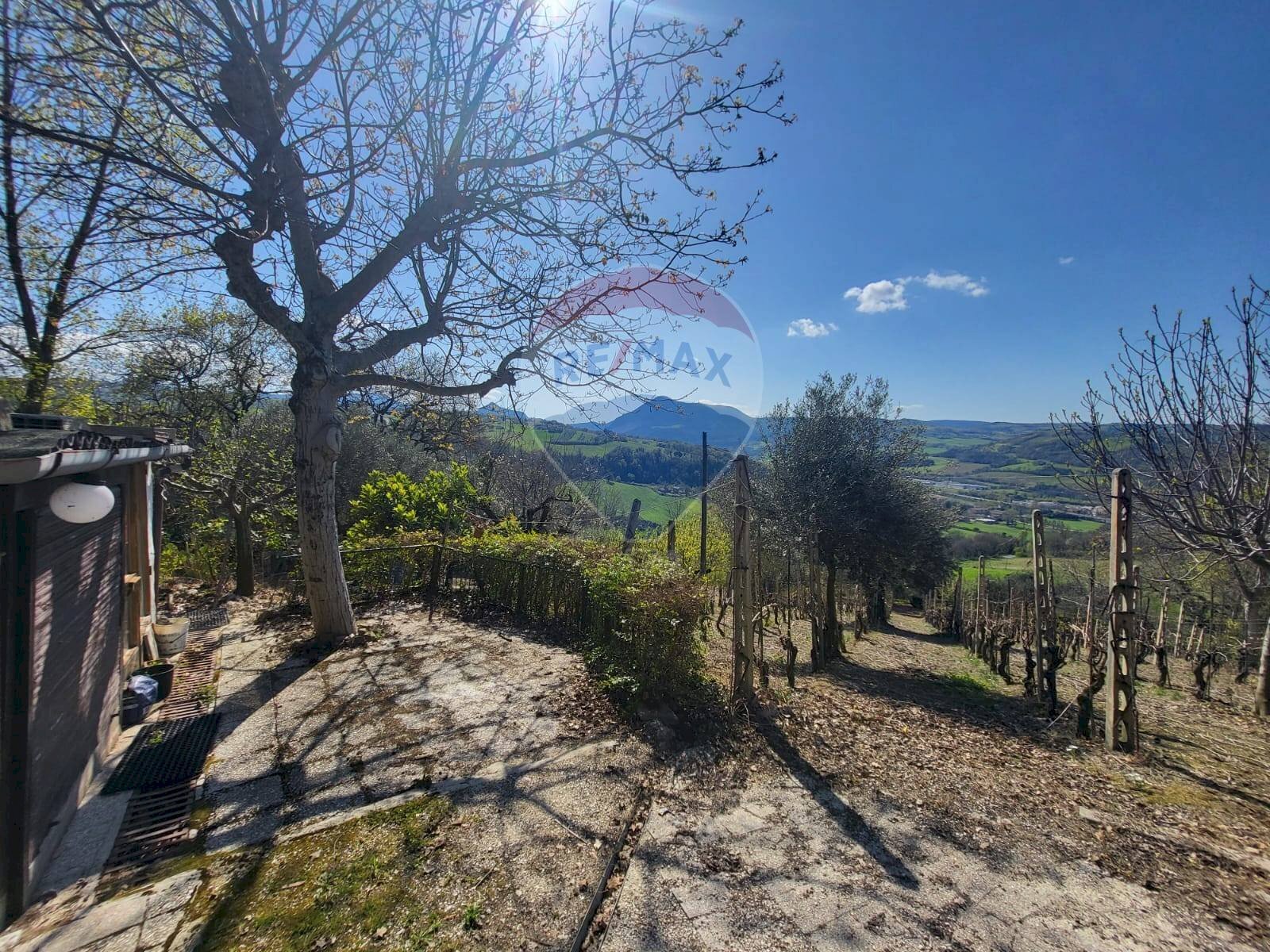Vista delle montagne - Terreno agricolo Cantalupo
snc, Cupramontana - foto 3