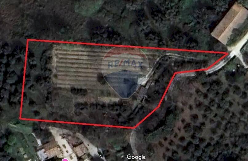 Posizione della mappa - Terreno agricolo Cantalupo
 
snc, Cupramontana - planimetria 1