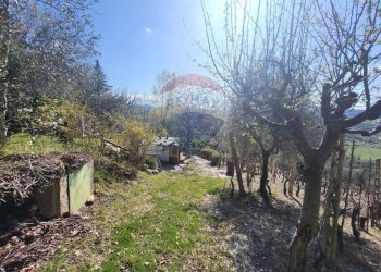 Giardino - Agricultural land Cantalupo
snc, Cupramontana - photo 4