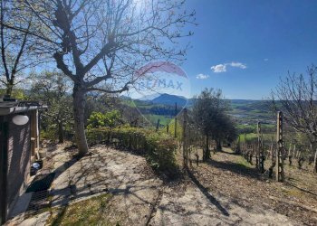 Vista delle montagne - Agricultural land Cantalupo
snc, Cupramontana - photo 3
