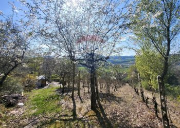 Vista delle montagne - Agricultural land Cantalupo
snc, Cupramontana - photo 2