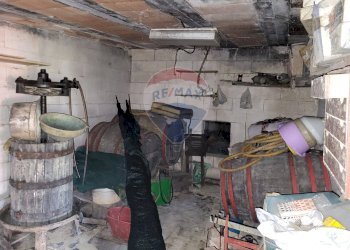 Dispensa di stoccaggio - Agricultural land Cantalupo
snc, Cupramontana - photo 15