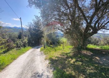 Giardino - Agricultural land Cantalupo
snc, Cupramontana - photo 21