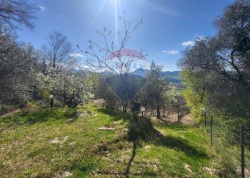 Giardino - Agricultural land Cantalupo
snc, Cupramontana - photo 22