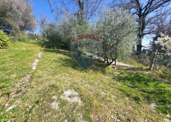 Giardino - Agricultural land Cantalupo
snc, Cupramontana - photo 23