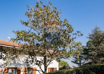 Casa all\'aperto - Villa via barcaglione
 
17, Falconara Marittima - photo 6