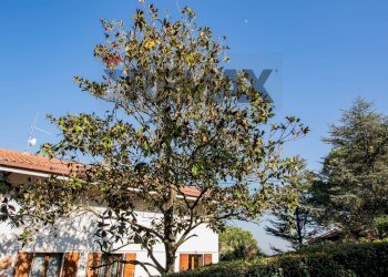 Casa all\'aperto - Villa via barcaglione
 
17, Falconara Marittima - photo 6