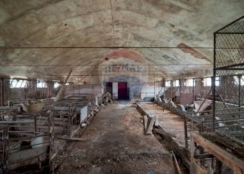 Non correlato - Casa indipendente Contrada Santa Lucia
 
23, Agugliano - foto 11