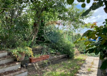 Giardino - Casa semi indipendente Via Moscatelli Fraz. Castiglioni
 
80 e 80/B, Arcevia - foto 64