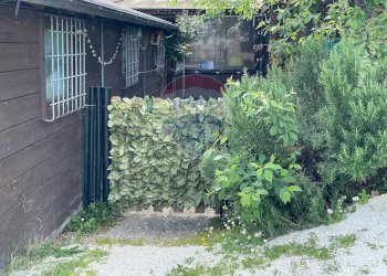 Giardino - Casa semi indipendente Via Moscatelli Fraz. Castiglioni
 
80 e 80/B, Arcevia - foto 67