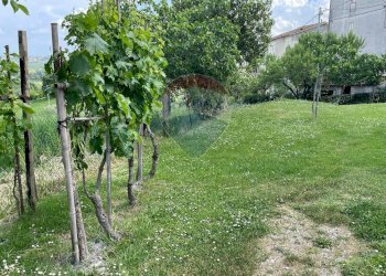 Giardino - Casa semi indipendente Via Moscatelli Fraz. Castiglioni
 
80 e 80/B, Arcevia - foto 68