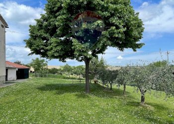 Giardino - Casa semi indipendente Via Moscatelli Fraz. Castiglioni
 
80 e 80/B, Arcevia - foto 73