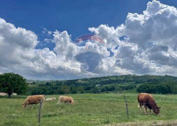 Vista delle montagne - Casa semi indipendente Via Moscatelli Fraz. Castiglioni
 
80 e 80/B, Arcevia - foto 84